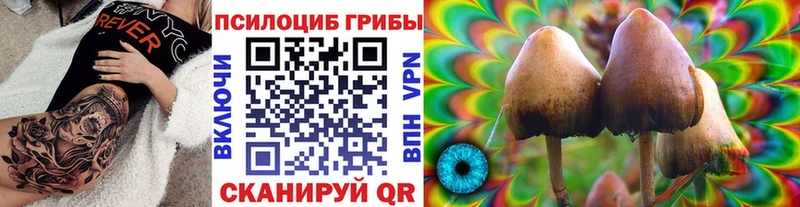 Галлюциногенные грибы мухоморы Южно-Сахалинск