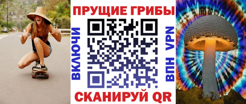 shop телеграм Южно-Сахалинск Галлюциногенные грибы Magic Shrooms где купить наркоту