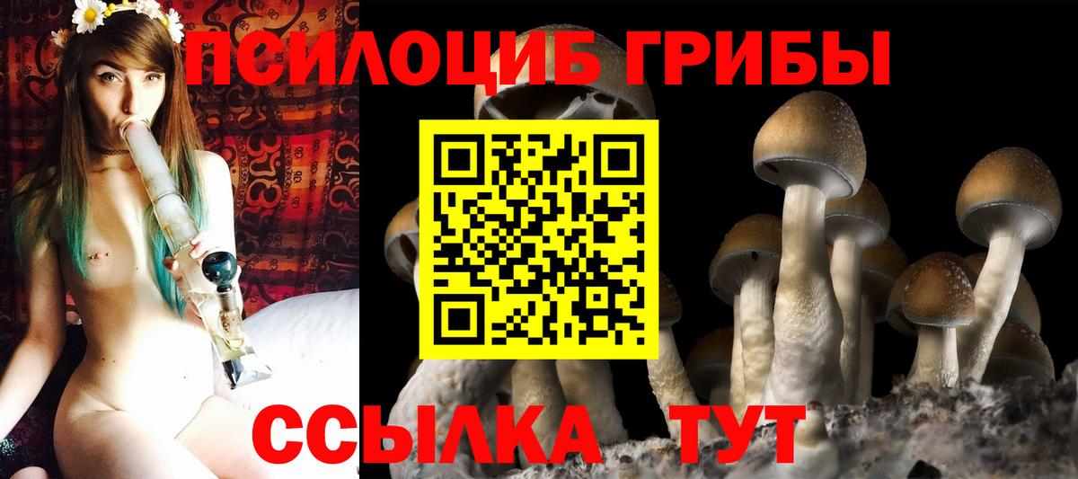 Южно-Сахалинск  Псилоцибиновые грибы GOLDEN TEACHER  Псилоцибиновые грибы Magic Shrooms  Вход с VPN 